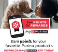 Purina DentaLife Made in USA Facilities Large Dog Dental Chews, Daily - 18 ct. Pouch 18 Count (Pack of 1)