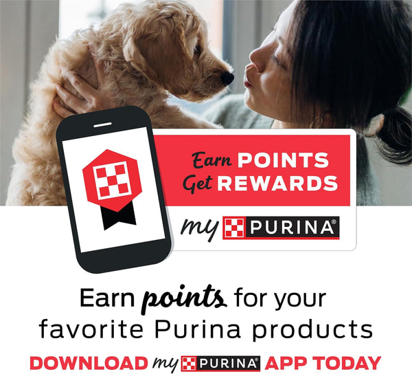 Purina DentaLife Made in USA Facilities Large Dog Dental Chews, Daily - 18 ct. Pouch 18 Count (Pack of 1)