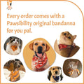 Pawsibility - Reinvented Pet Nail Clippers for Your Pal - USB Rechargeable LED Light for Bloodline | Razor Sharp and Durable Blade | Vets