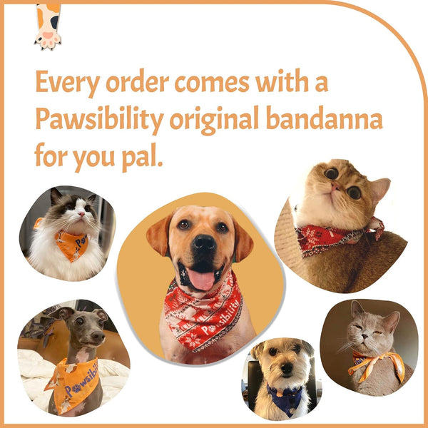 Pawsibility - Reinvented Pet Nail Clippers for Your Pal - USB Rechargeable LED Light for Bloodline | Razor Sharp and Durable Blade | Vets