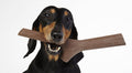 Bama Pet AP-19155 Tuttomio Play-More Pet Stick - Mini
