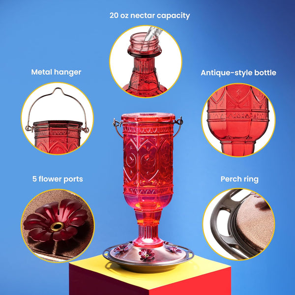 More Birds Red Jewel Hummingbird Feeder, Glass Bottle, 5 Feeding Ports and 20-Ounce Nectar Capacity (76IN) 23 oz Nectar Capacity Red