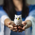 Blinky Owl, Non-Electric Ceramic Diffusers for Essential Oils and Aromatherapy Fragrance, White Ceramic Diffusers in Car or Desk Office Decor and