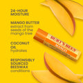 Burt's Bees 100% Natural Moisturizing Lip Balm (Superfruit) Superfruit 4