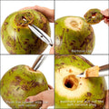 2 PCS Coconut Opener Tool Set Coconut Meat Remover Stainless Steel Coconut Opener Scraper Knife Coconut Punch Tool with Durable Non-Slip Wooden