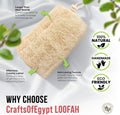 SERRENTO Loofah Body Scrubber Shower - Egyptian Luffa Sponge Pack of 3 Tan 1 Count (Pack of 3)