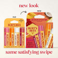Burt's Bees 100% Natural Moisturizing Lip Balm (Superfruit) Superfruit 4