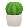 Dotti Cactus, Non-Electric Ceramic Diffusers for Essential Oils and Aromatherapy Fragrance, White Ceramic Diffusers in Car or Desk Office Decor