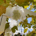 YunKo 50Pcs White Organza Bags 6X9 Inch Drawstring Mesh Party Favor Bag | 50pcs White 6x9inch Organza Bags, Drawstring Mesh Bags, Great for Gifts,