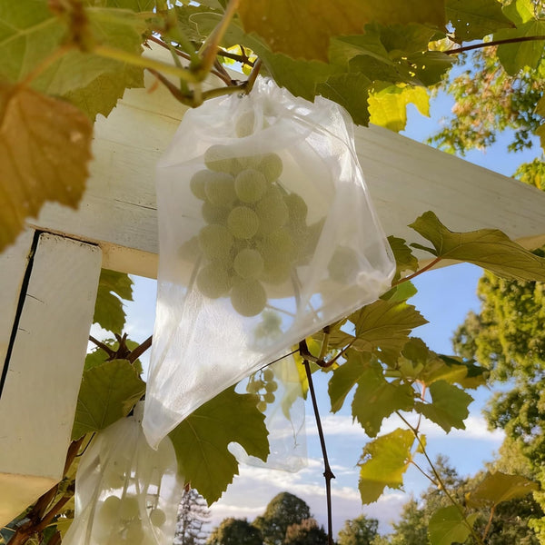 YunKo 50Pcs White Organza Bags 6X9 Inch Drawstring Mesh Party Favor Bag | 50pcs White 6x9inch Organza Bags, Drawstring Mesh Bags, Great for Gifts,