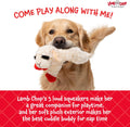Multipet Lamb Chop Dog Plush Toy - Squeaky Toy for Small & Medium Dogs - Extra Soft Plush - Stuffed Animal for Cuddling & Playing (10", Cream, 5