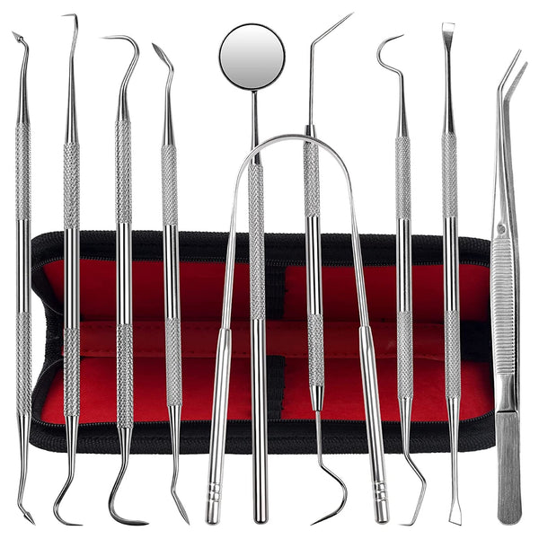 Dental Kit Tools, 10 Pack Stainless Steel Plaque Remover, Dental Tools to Remove Plaque and Tartar, Oral Care Kit with Plaque Cleaner, Tartar