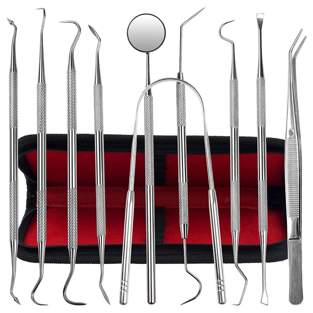 Dental Kit Tools, 10 Pack Stainless Steel Plaque Remover, Dental Tools to Remove