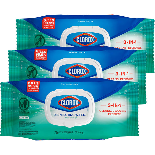 Clorox Disinfecting Wipes, Bleach Free, Household Essentials, Fresh Scent, Moist