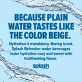 SPLASH REFRESHER Flavored Water Bottles, Mandarin Orange Flavor - 6-Pack, 16.9 Fl Oz - Refreshing Flavored Bottled Water with Electrolytes - Zero