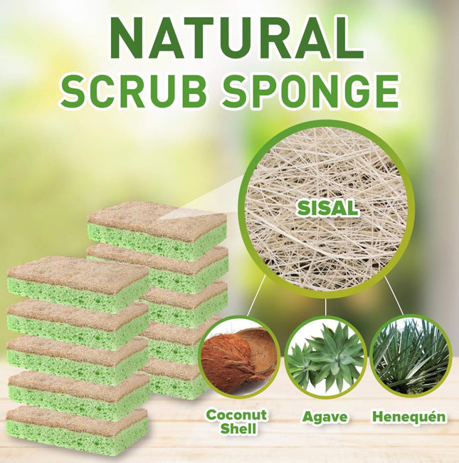 SCRUBIT Natural Sponges - 10 Pack Biodegradable Compostable Cellulose and Coconu