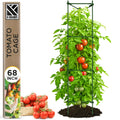 K-Brands Tomato Cage - Tomato Plant Stakes Support Cages, Trellis for Garden & Pots (Tall Upto 68 Inches)