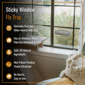 Dr. Killigan's The Fly Inn | Sticky Window Traps | Indoor Insect Trap | Catches and Hides Bugs | Better Than Fly Paper or Ribbon | Get Rid of
