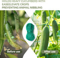 Garden Netting for Climbing Plants,Ponwec 2-Pack 6'X16.5'Ft Garden Trellis Netting 4X4 Weatherproof Plant Netting for Cucumbers,Beans