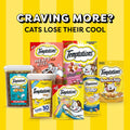 Temptations Classic Crunchy and Soft Cat Treats Shrimpy Shrimp Flavor, 6.3 Oz. Pouch