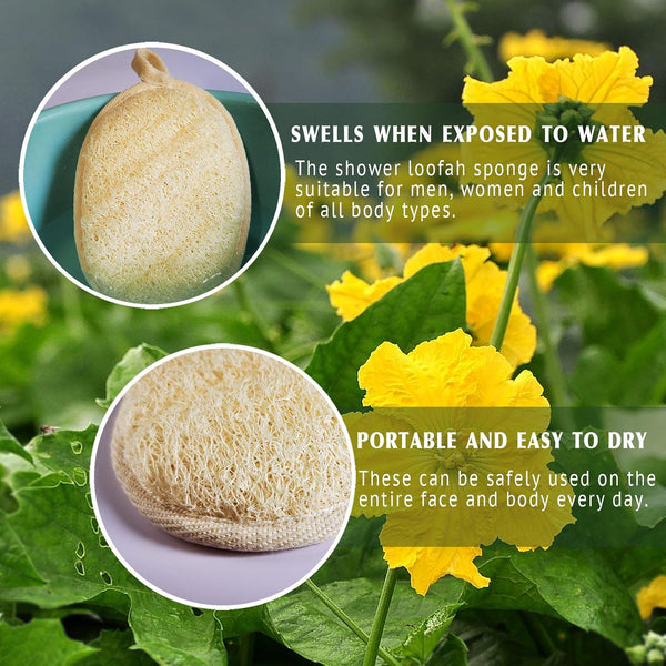 YIQINGJIE Natural Loofah Sponge Exfoliating Body Scrubber (3 Pack) Beige Beige 1 Count (Pack of 3)
