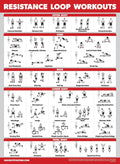 Palace Learning 4 Pack - Resistance Bands Workout Exercise Posters Volume 1, 2 & 3 + Resistance Loops Fitness Chart (LAMINATED, 18" x 24") 18" x