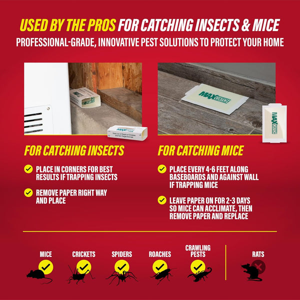 Catchmaster Max-Catch Mouse & Insect Glue Trap 72PK, Mouse Traps Indoor for Home, Sticky Pest Control Adhesive Tray for Catching Bugs, Bulk