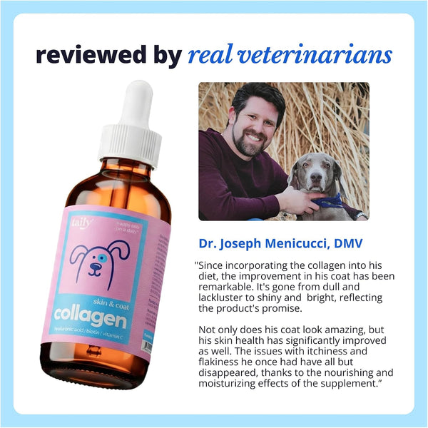 Skin and Coat Supplement for Dogs, Cats | Taily Liquid Collagen for Dogs | Itch Relief for Dogs with Allergies, with Grass Fed Collagen, Biotin,