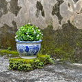 HakkaGirl Blue and White Planters, Succulent Pots Ceramic Plant Pots Indoor with Drainage for Home Décor - Set of 3 Blue and White - Art Decor Set