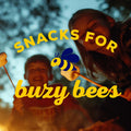 HONEY MAID Graham Crackers, Lunch Snacks, Party Size, 28.8 oz 28.8 Ounce (Pack of 1)