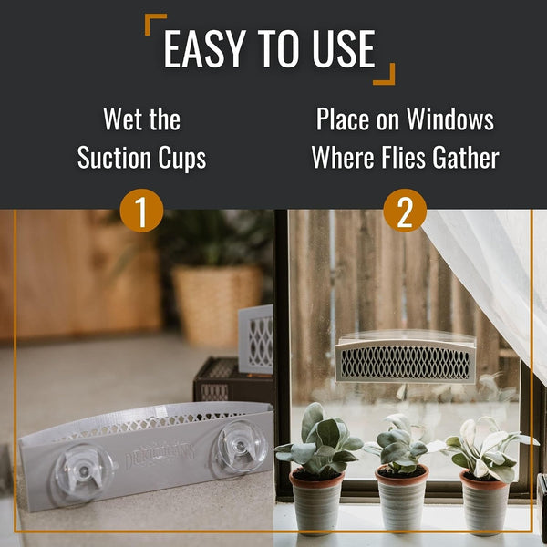 Dr. Killigan's The Fly Inn | Sticky Window Traps | Indoor Insect Trap | Catches and Hides Bugs | Better Than Fly Paper or Ribbon | Get Rid of