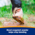 Farnam Wonder Dust Wound Powder, Blood Coagulant for Horses and Show Stock, For Use on Proud Flesh, Granulated Tissue, Stop Bleeding, 4 Ounces