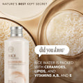 The Face Shop Rice Ceramide Moisturizing Emulsion - Rice Extract - Lightweight Face Moisturizer - Brightening - Hydrating Targets Dryness -