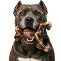 MOXIKIA Heavy Duty Dog Chew Toy for Aggressive Chewers, Medium Large Breed | Durable Bacon Flavored Bone, Tough Nylon, Keep Busy
