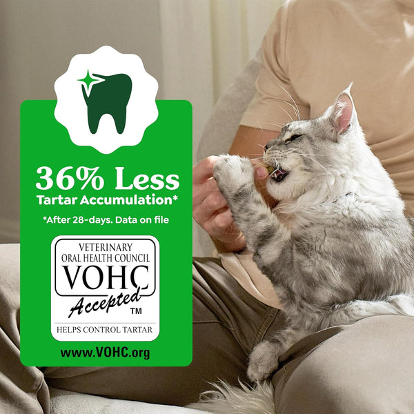 Greenies Feline Natural Dental Cat Treats, Tempting Tuna Flavor, 9.75 oz | veterinarian-recommended, 36% less tartar in 28 days, cleans to