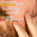 The Beard Club Premium Cedar Beard Oil for Men - Natural Castor & Almond Oils - Beard & Mustache Conditioner - Hydrates, Moisturizes, Softens &