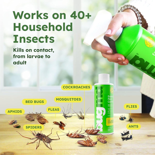 BugMD Ant Killer & Bug Spray Concentrate - Indoor Cockroach and Roach Killer, Spider Spray for Home, Fly and Insect Defense, Essential Oils,