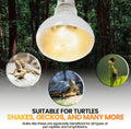 CALPALMY (4-Pack 100W Reptile Heat Lamp Bulbs - UVA Daylight Basking Light Bulbs for Reptiles, Turtles, Lizard, Bearded Dragon and Amphibians -