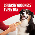 Milk-Bone Crunchy Large Dog Treats, 24 Oz. Box, Original Beef Flavor Large 24 Ounce (Pack of 1)