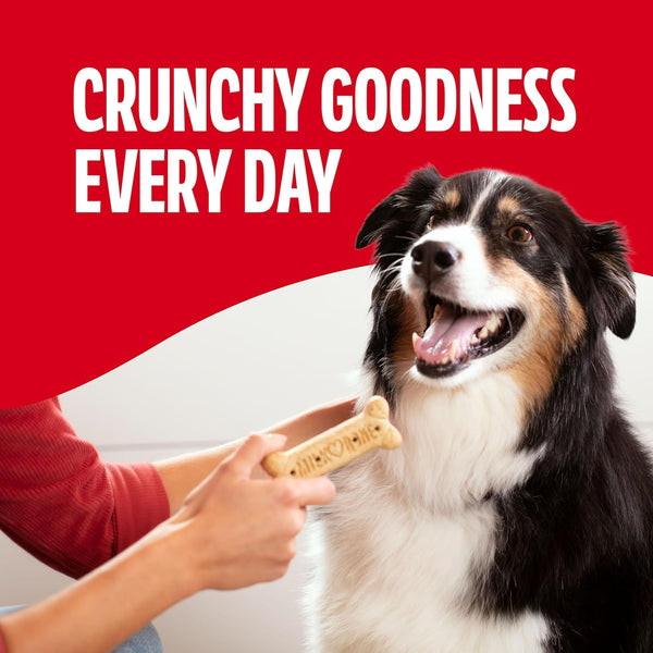 Milk-Bone Crunchy Large Dog Treats, 24 Oz. Box, Original Beef Flavor Large 24 Ounce (Pack of 1)