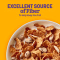 Raisin Nut Bran Cereal, High Fiber Cereal, Made with Whole Grain, 20.8 oz 20.8 Ounce (Pack of 1)