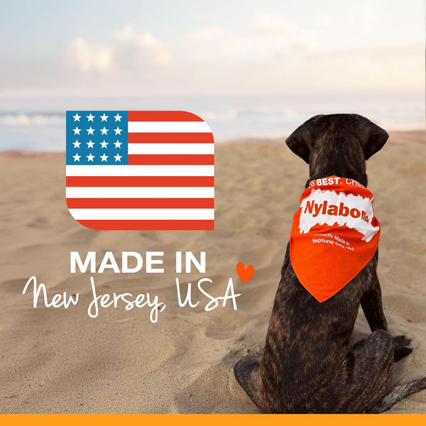Nylabone Power Chew Textured Ring Dog Chew Toy, Flavor Medley, X-Large | Durable dog toys, long lasting, discourages destructive chewing,