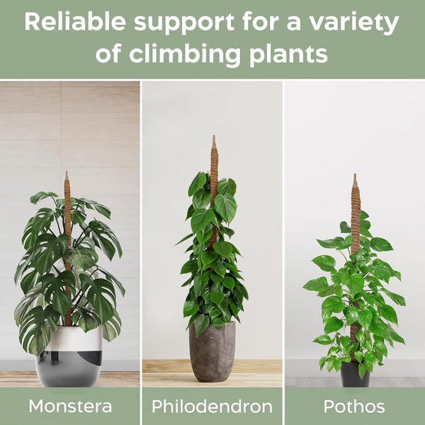 2 Pack 28'' Bendable Moss Pole Monstera Plant Support for Climbing Indoor Plants - Stakes for Potted Climbers - Tall Sticks Indoor Trellis for