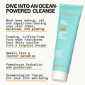 Pacifica Beauty Sea Foam Face Cleanser, Daily Gentle Foaming Face Wash, with Coconut Water + Sea Algae Complex, Removes Makeup, for Combination