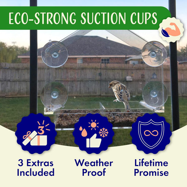 Window Bird Feeder with Strong Suction Cups, Clear Window Feeders for Outside - Transparent Bird House, Balcony Glass Mount, Acrylic Cat, Kids &