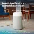 BLUEAIR Blue Pure 311i Max Smart Air Purifier for Medium Rooms up to 2,107 Sq Ft HEPASilent Air Cleaner for Pets Allergies Smoke & Dust WiFi Air