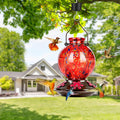 BOLITE Glass Hummingbird Feeders for Outdoors Hanging, Hand Blown, Red | With Ant-Moat, 20oz, 5 Bee-Proof Ports, 360° Perch, Leak-Proof, Meshy