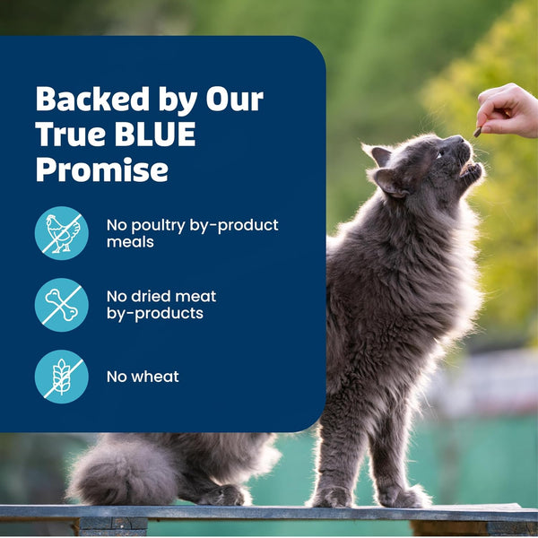 Blue Buffalo Bursts Savory Seafood Crunchy & Creamy Cat Treats, Great for Training, Real Salmon Natural Cat Treats Enhanced with Vitamins,