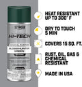 Seymour EN-66 Hi-Tech Engine Spray Paint, AMC Blue AMC Blue 12 Ounce (Pack of 1)