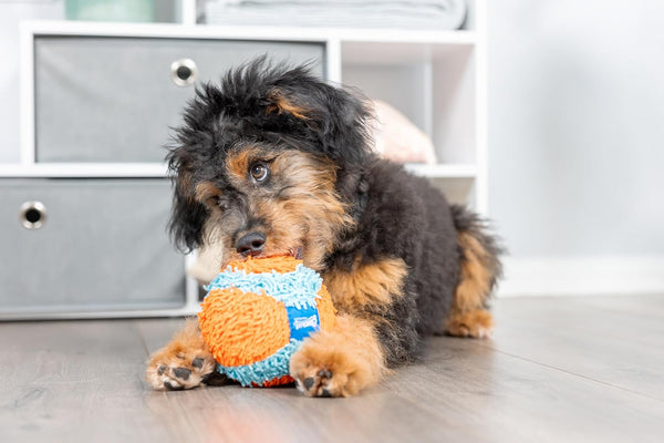 Chuckit! Indoor Fetch Ball Dog Toy for Dogs - Interactive Dog Toys for Boredom, 4.75 Inch, Orange and Blue